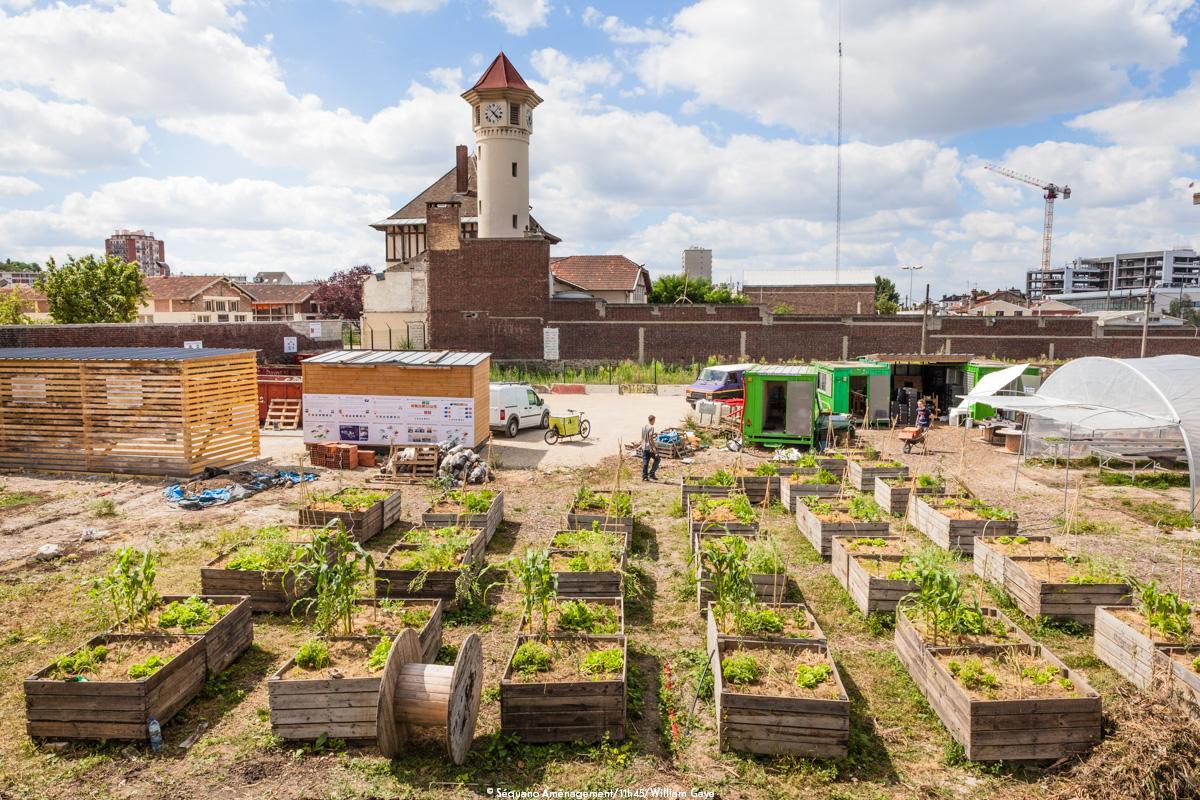 La Micro-ferme urbaine du Paysan Urbain | Est Ensemble