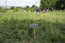 Un Tramway nommé désir ©Hervé Boutet