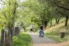 Parc du bois de Bondy - crédit : Est Ensemble 