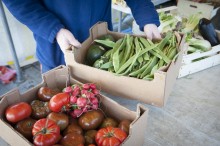 Collecte des biodéchets - crédit : Est Ensemble / Hervé Boutet