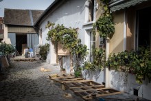 La ferme Caillard à Bondy © Camille Millerand