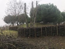 Parc du bois de Bondy - crédit : Est Ensemble