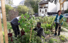 Projet On sème tous - crédit : On sème tous