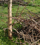 Déchets verts solutions - crédit : communication